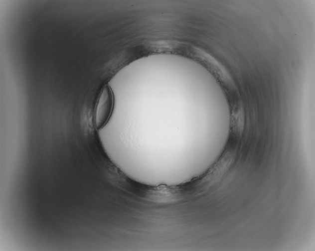 X0000101400381200807211039