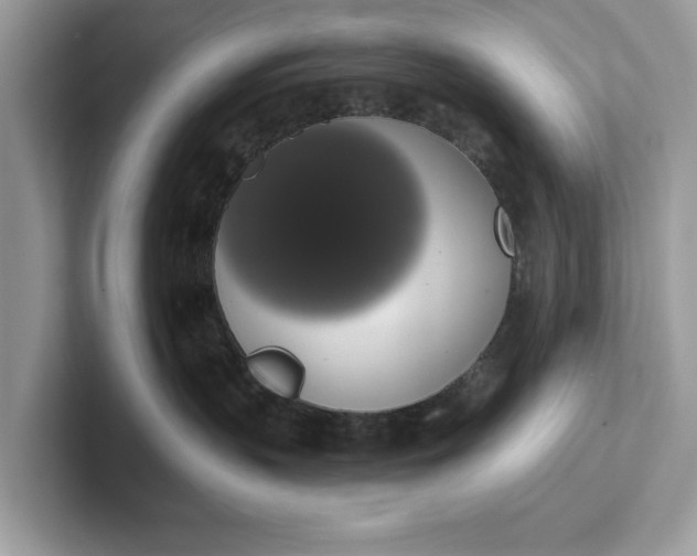 X0000101400383200807211039