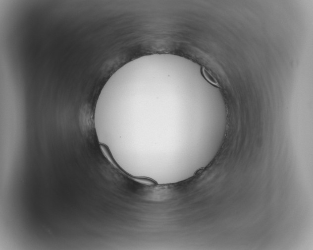 X0000101400384200807211039