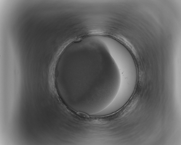 X0000101400385200807211038