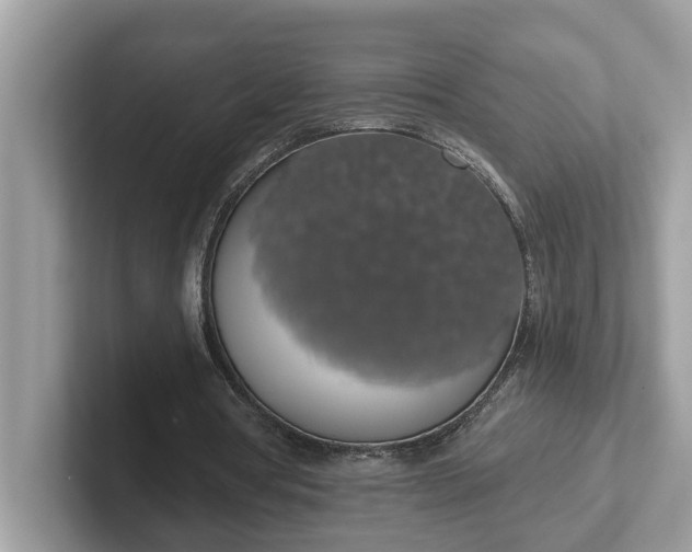 X0000101400386200807211038