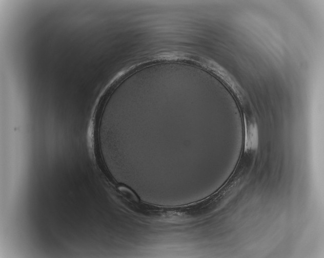 X0000101400387200807211038