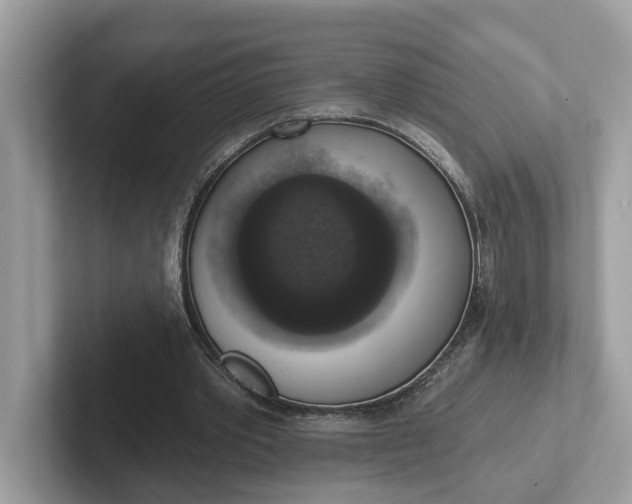 X0000101400389200807211038