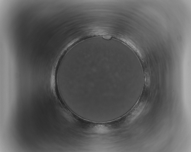 X0000101400390200807211038