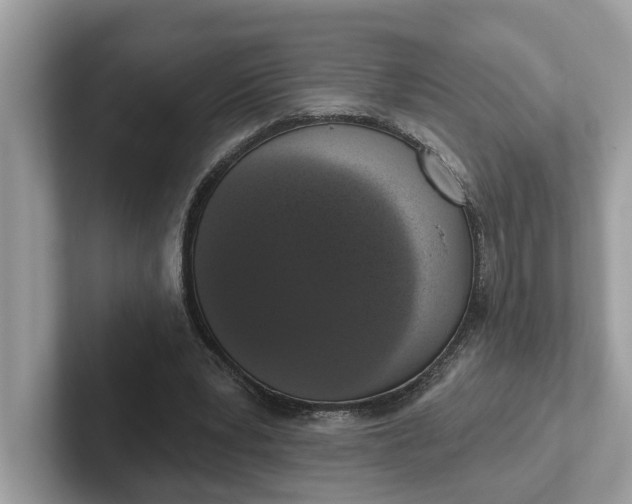 X0000101400391200807211038