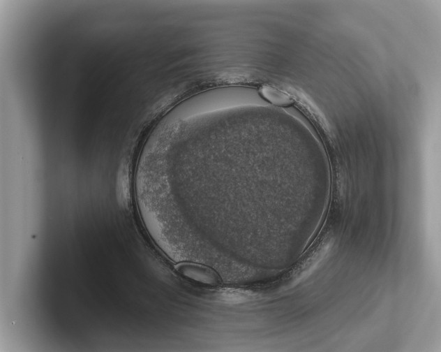 X0000101400393200807211038