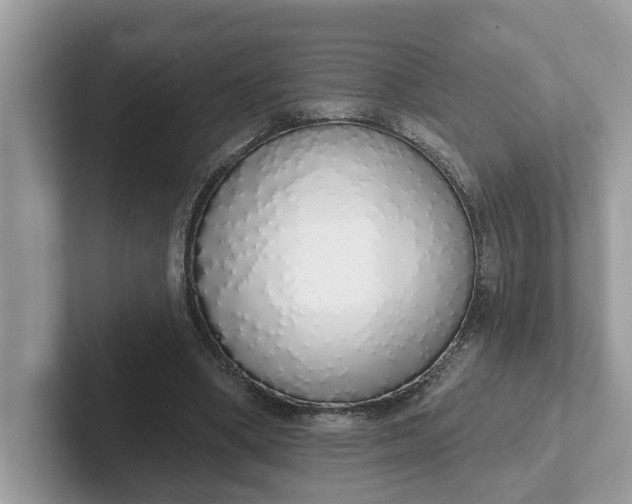 X0000101400394200807211038