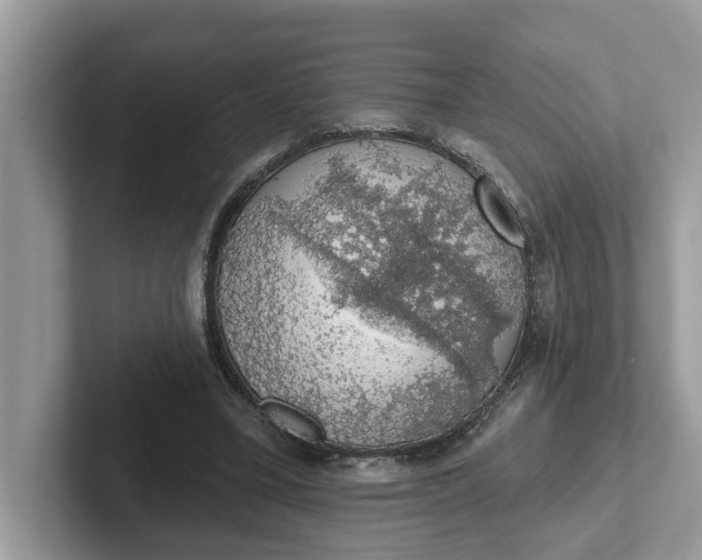 X0000101400395200807211038