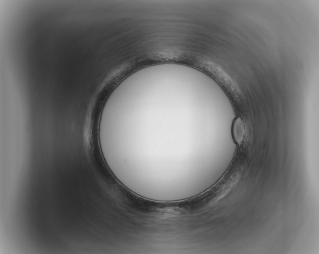 X0000101400396200807211038