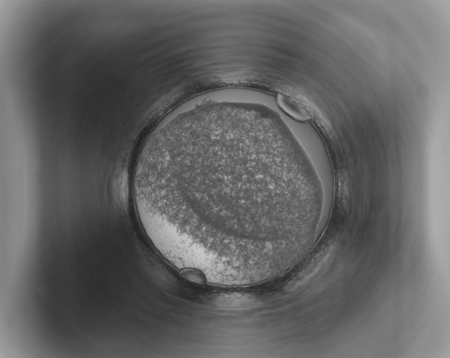 X0000101400397200807211038