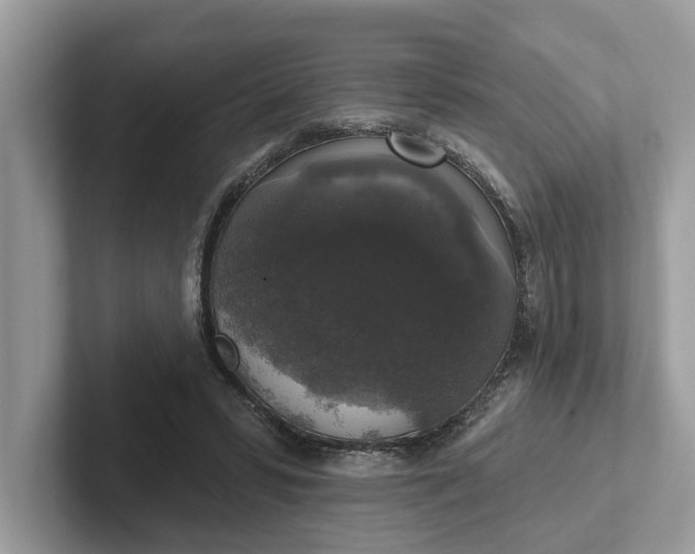 X0000101400399200807211038