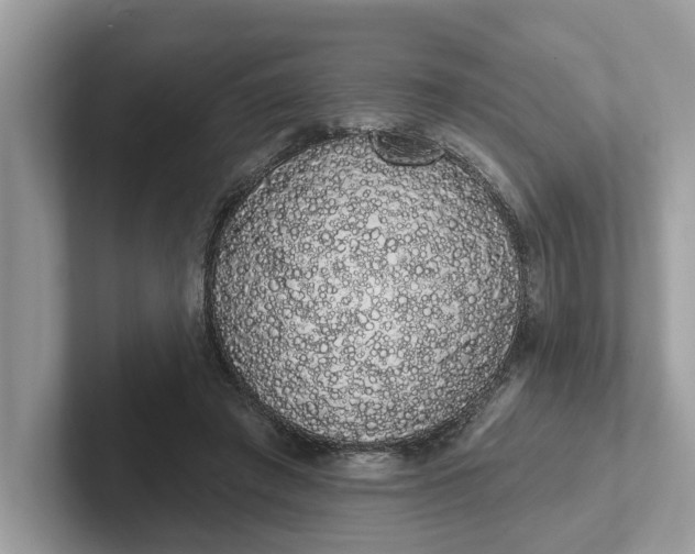 X0000101400401200807211038