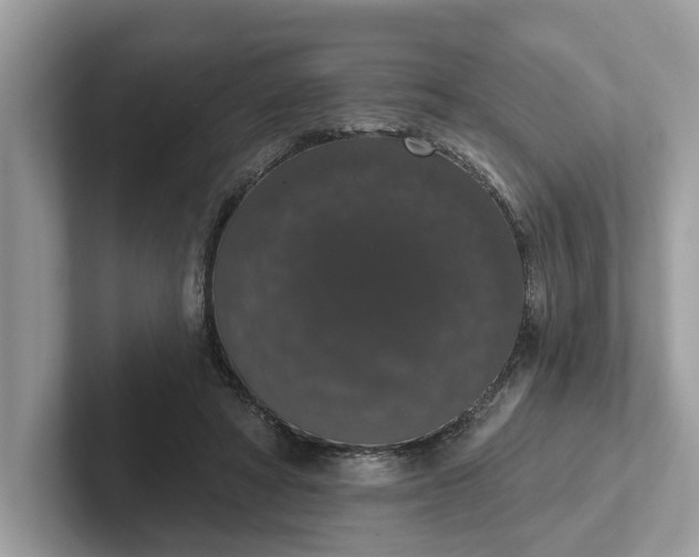 X0000101400402200807211038