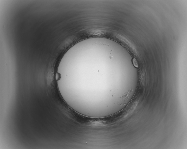 X0000101400407200807211038