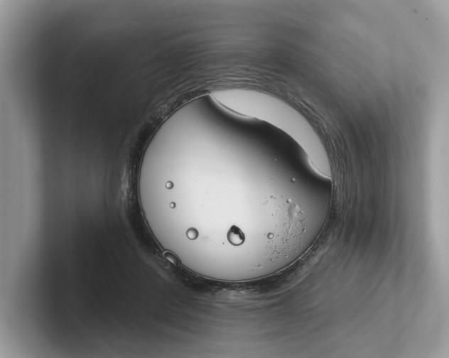 X0000101400408200807211038