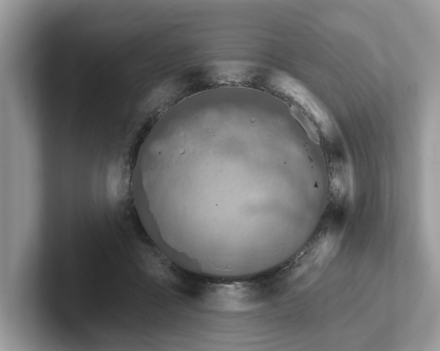 X0000101400411200807211038