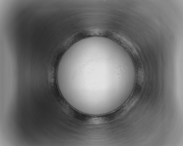 X0000101400413200807211038