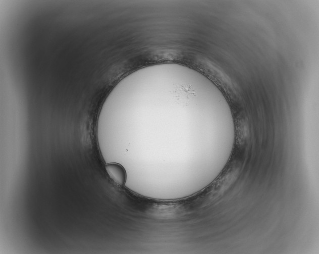 X0000101400414200807211038