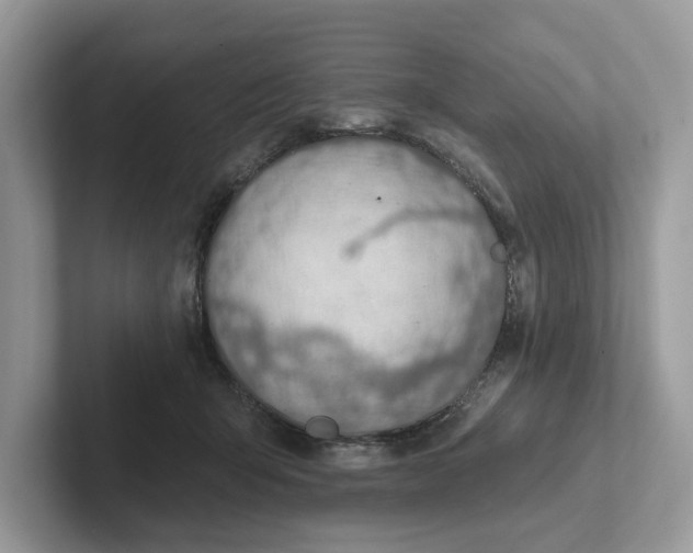 X0000101400415200807211038