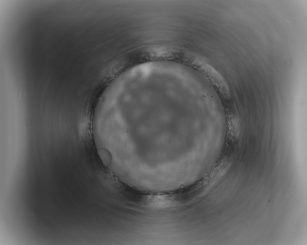 X0000101400419200807211038