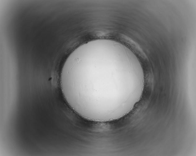 X0000101400421200807211038