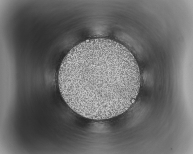 X0000101400423200807211038