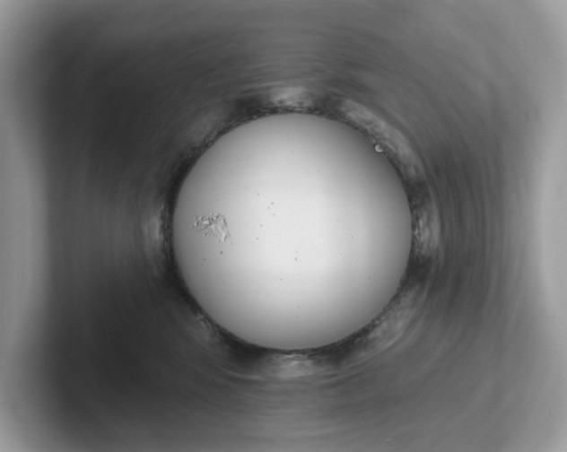 X0000101400424200807211038