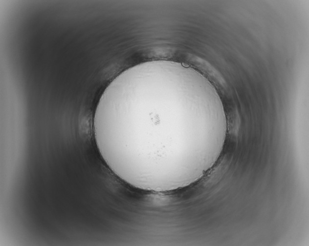 X0000101400425200807211038