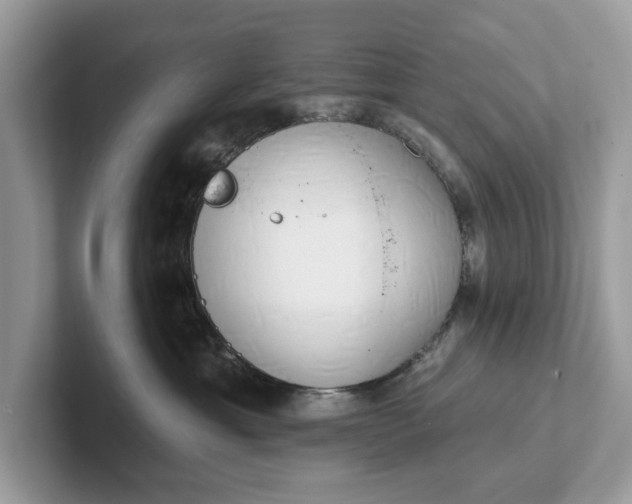 X0000101400429200807211038