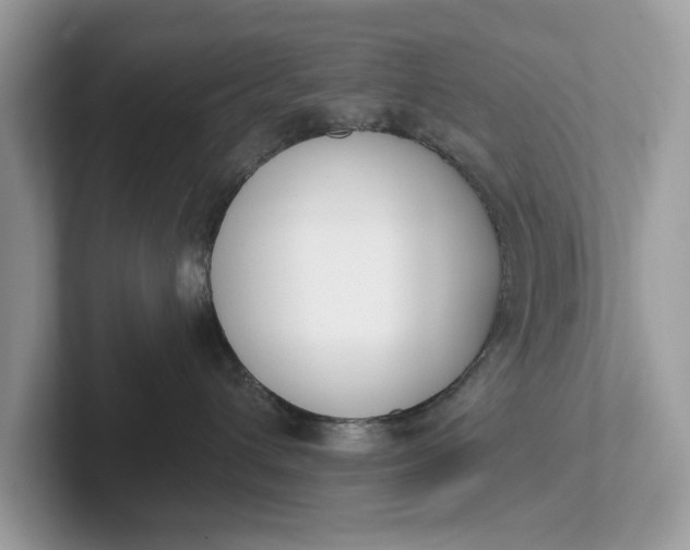 X0000101400432200807211038