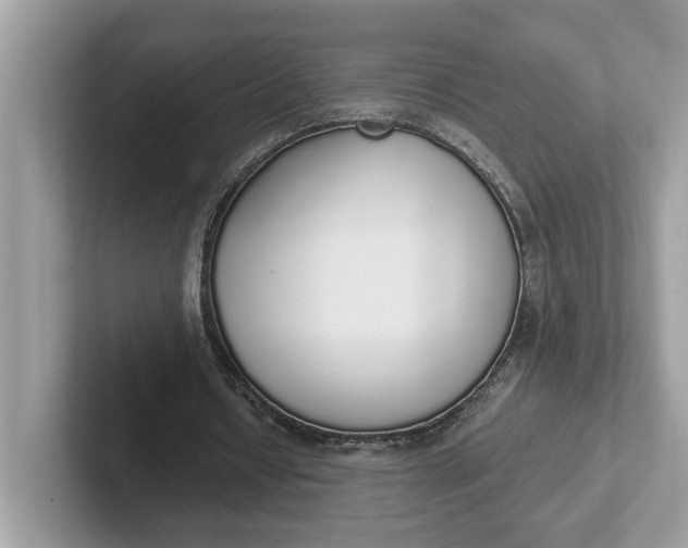 X0000101400434200807211037