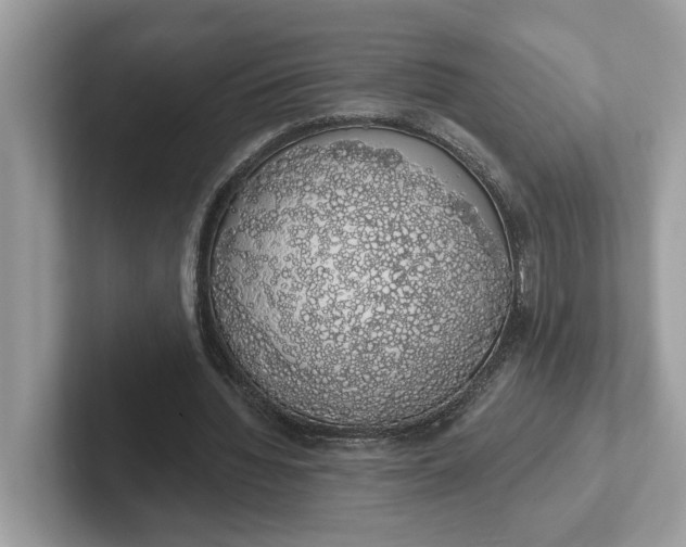 X0000101400436200807211037