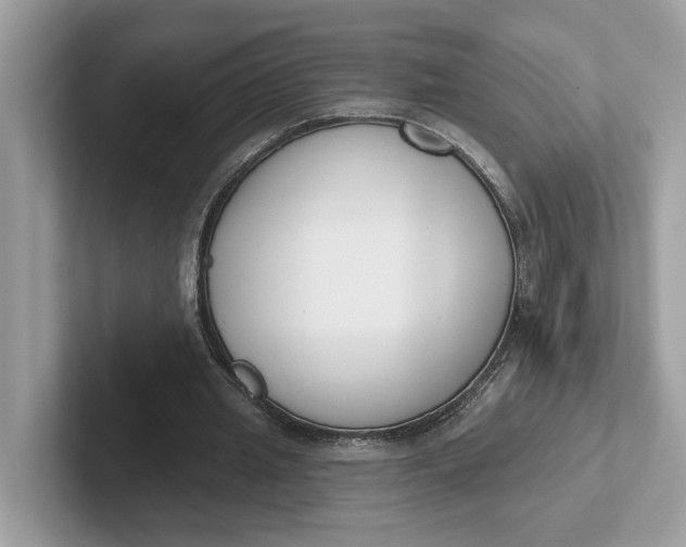 X0000101400437200807211037