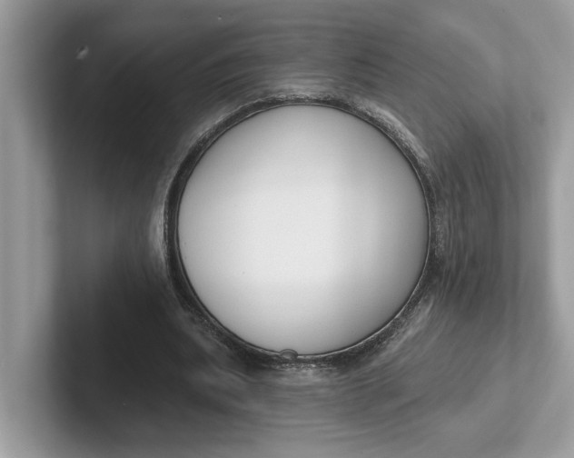 X0000101400439200807211037