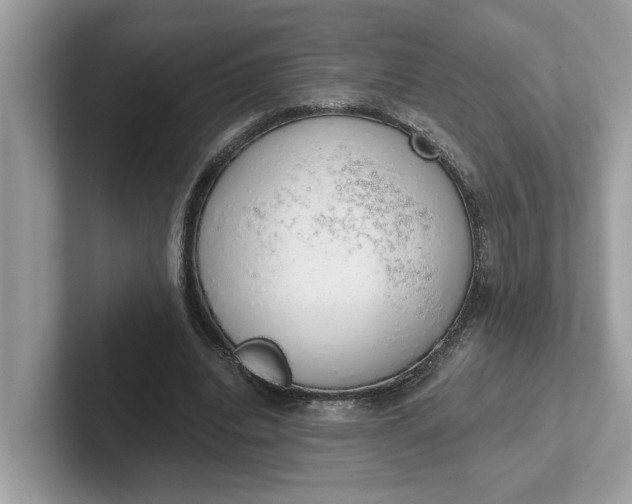 X0000101400440200807211037