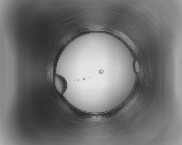 X0000101400441200807211037