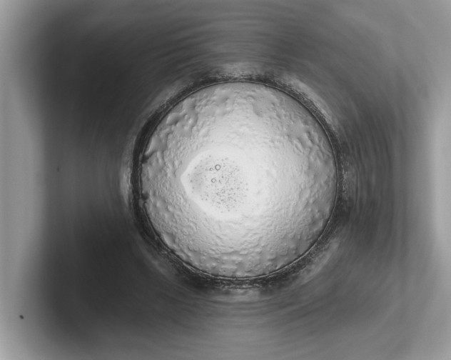 X0000101400443200807211037