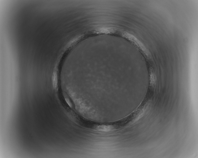 X0000101400444200807211037