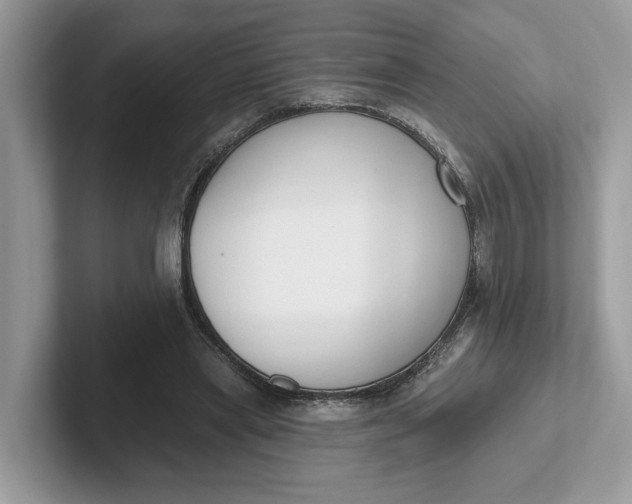 X0000101400445200807211037