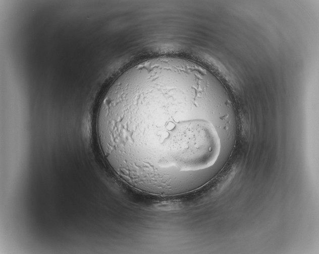 X0000101400447200807211037