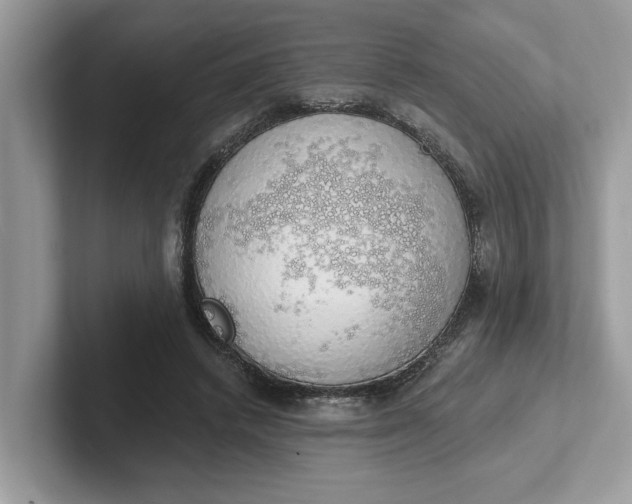 X0000101400448200807211037