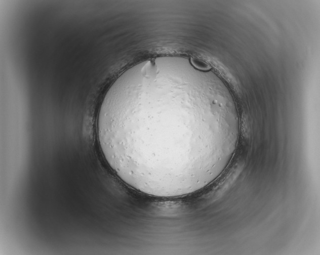 X0000101400449200807211037