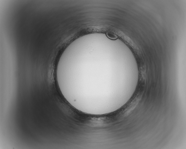 X0000101400450200807211037