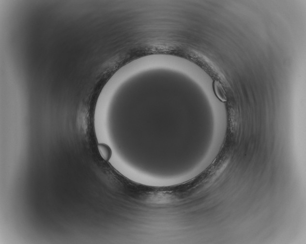 X0000101400451200807211037