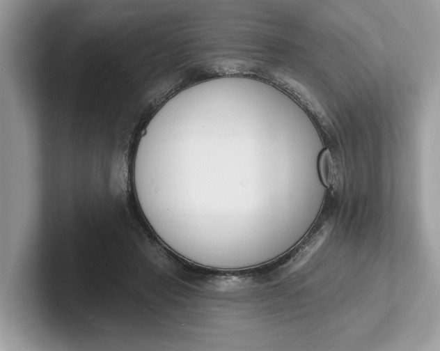 X0000101400453200807211037