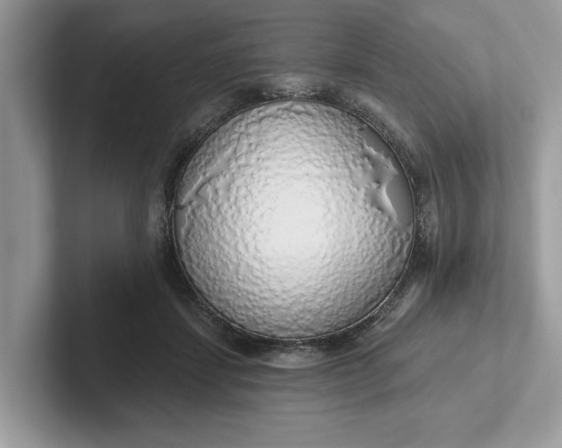 X0000101400459200807211037