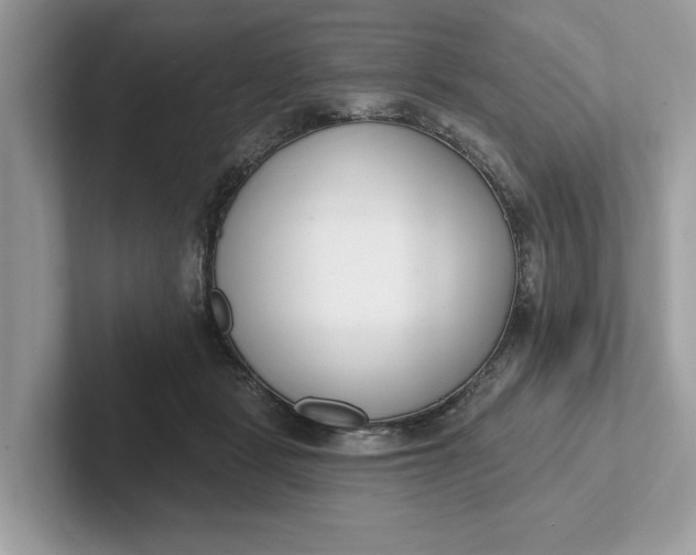 X0000101400461200807211037