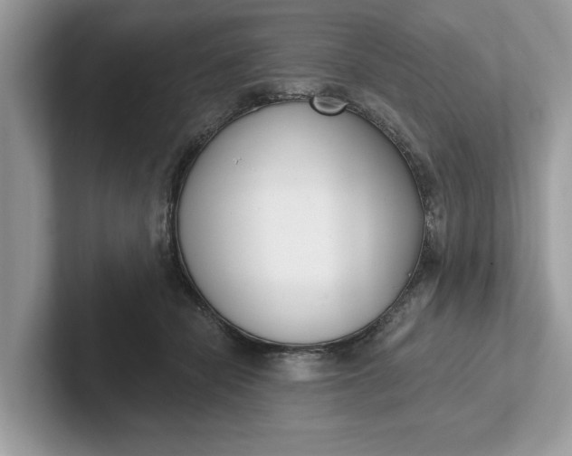 X0000101400462200807211037