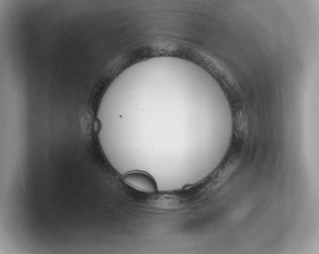 X0000101400463200807211038