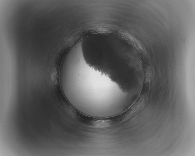 X0000101400465200807211038